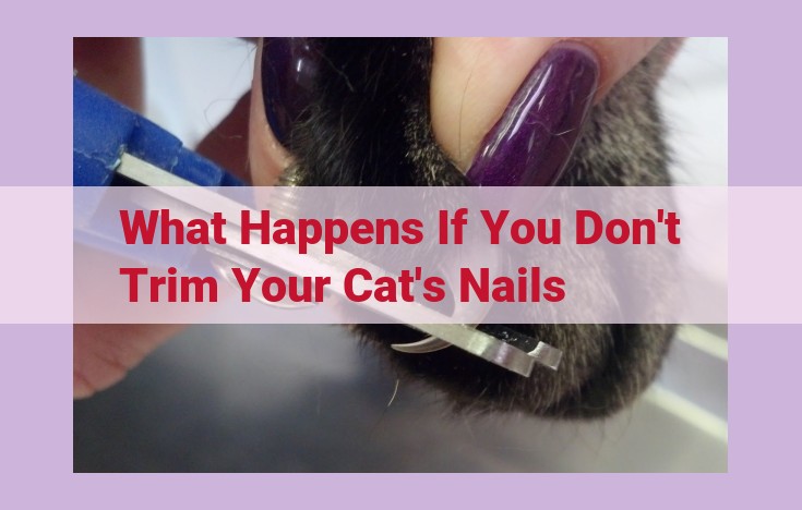 what happens if you don't trim your cat's nails