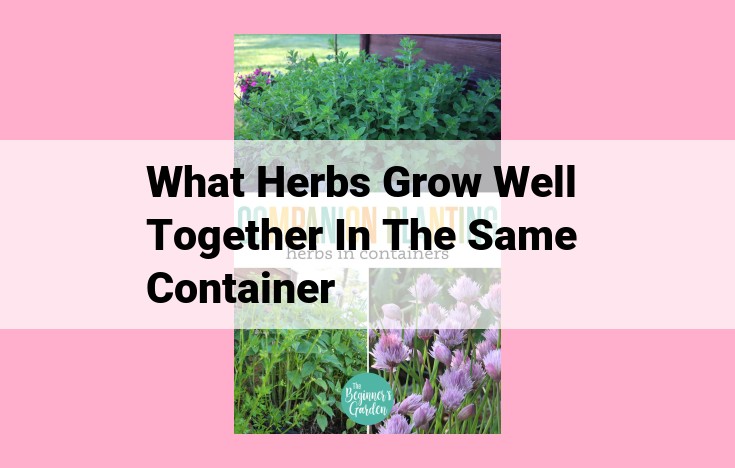 what herbs grow well together in the same container