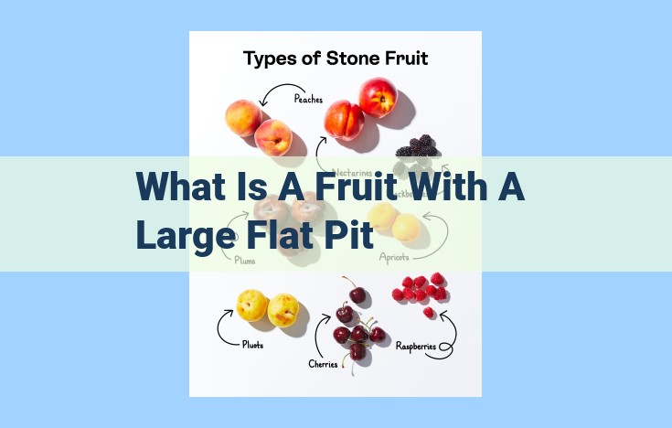 what is a fruit with a large flat pit