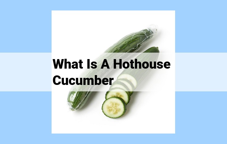 what is a hothouse cucumber