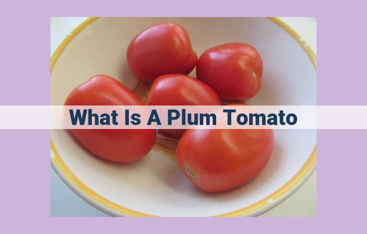 what is a plum tomato