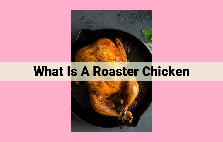 what is a roaster chicken