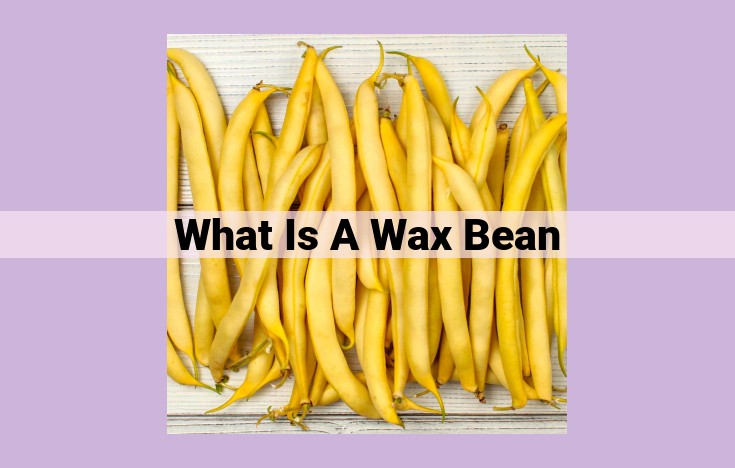 what is a wax bean