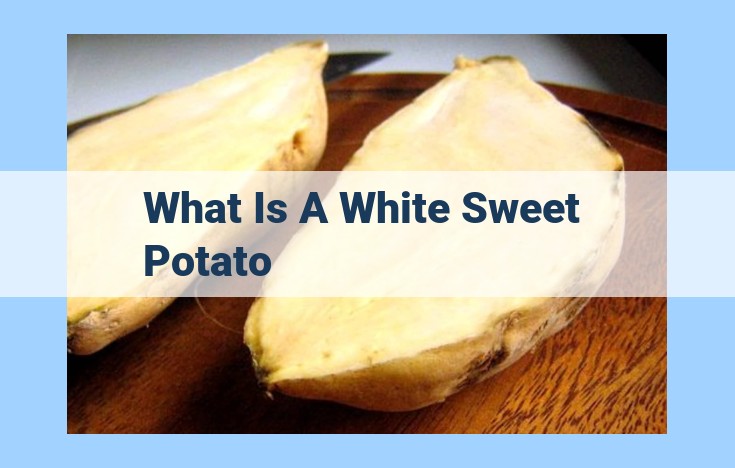 what is a white sweet potato