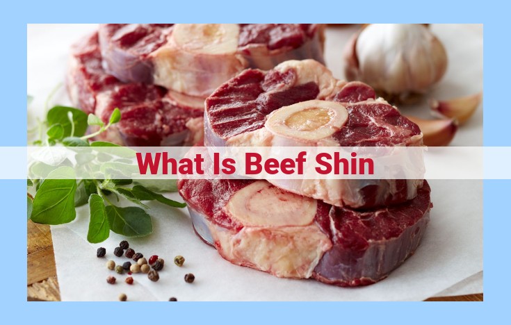 what is beef shin