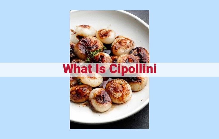 what is cipollini