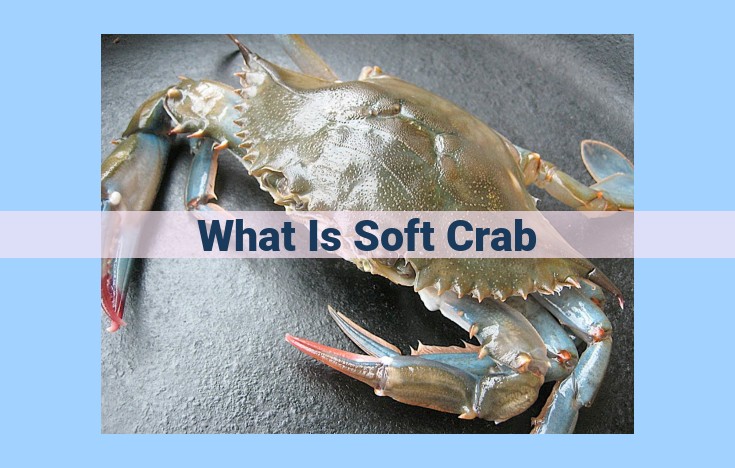 what is soft crab