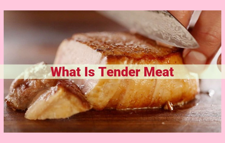 what is tender meat