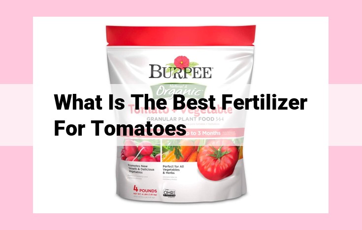 what is the best fertilizer for tomatoes