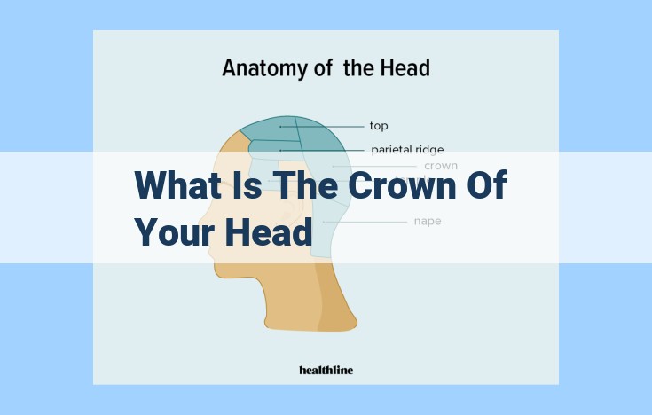 what is the crown of your head