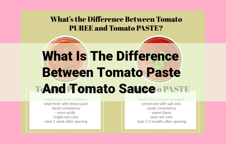 what is the difference between tomato paste and tomato sauce