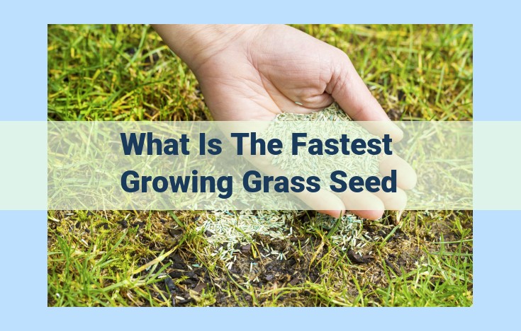 what is the fastest growing grass seed