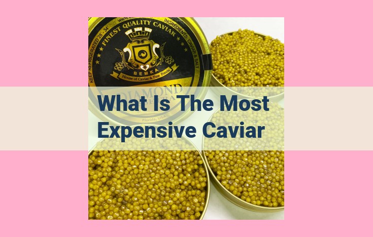 what is the most expensive caviar