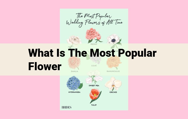 what is the most popular flower