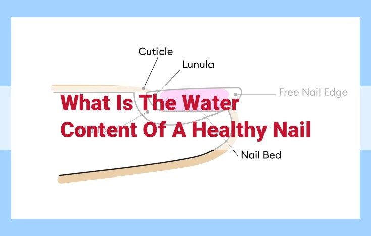 what is the water content of a healthy nail