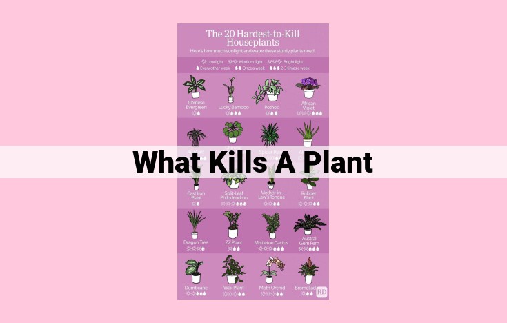 what kills a plant