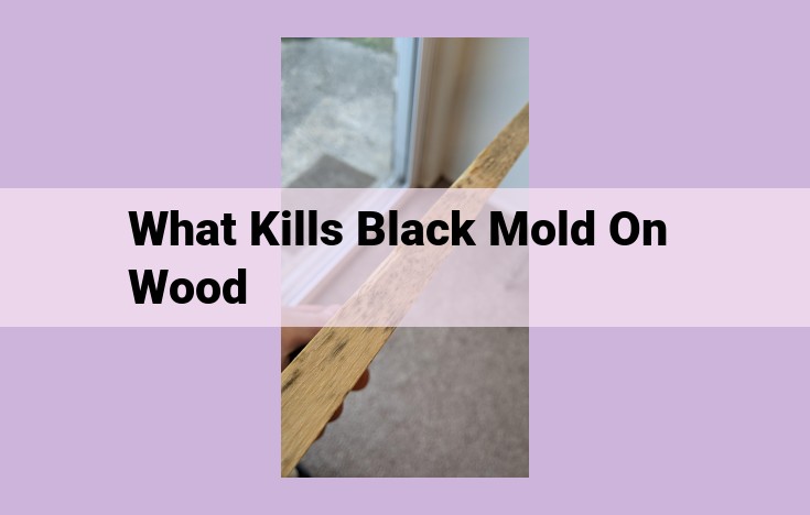 what kills black mold on wood