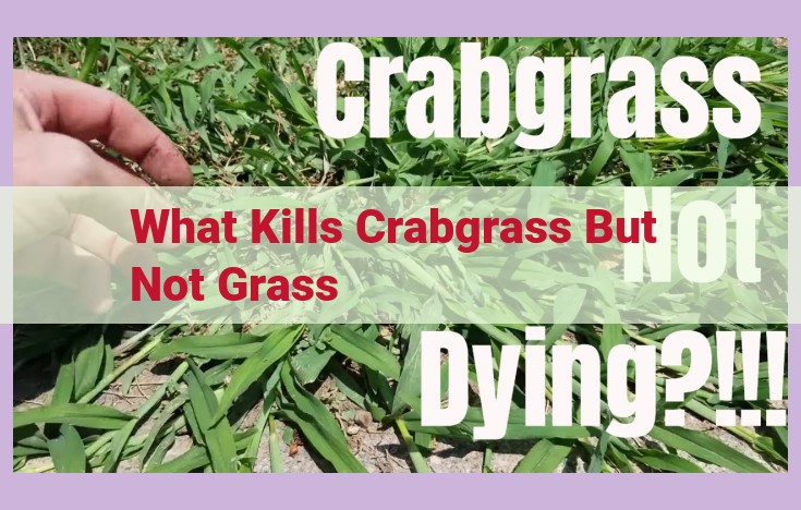 what kills crabgrass but not grass