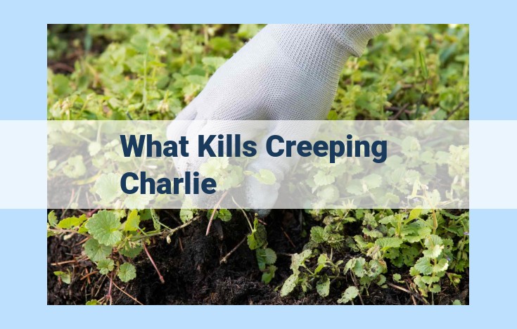 what kills creeping charlie