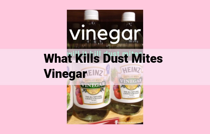 what kills dust mites vinegar