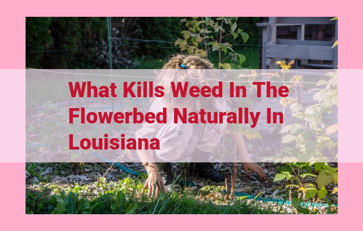 what kills weed in the flowerbed naturally in louisiana