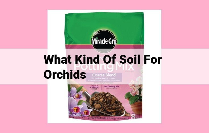 what kind of soil for orchids