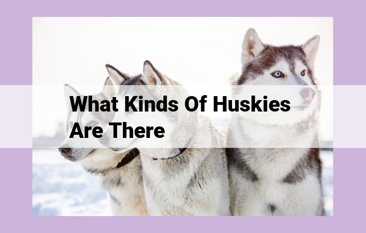 what kinds of huskies are there