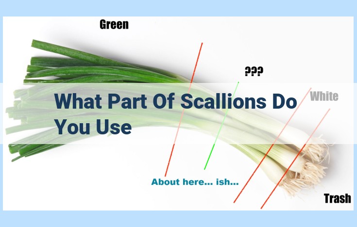 what part of scallions do you use