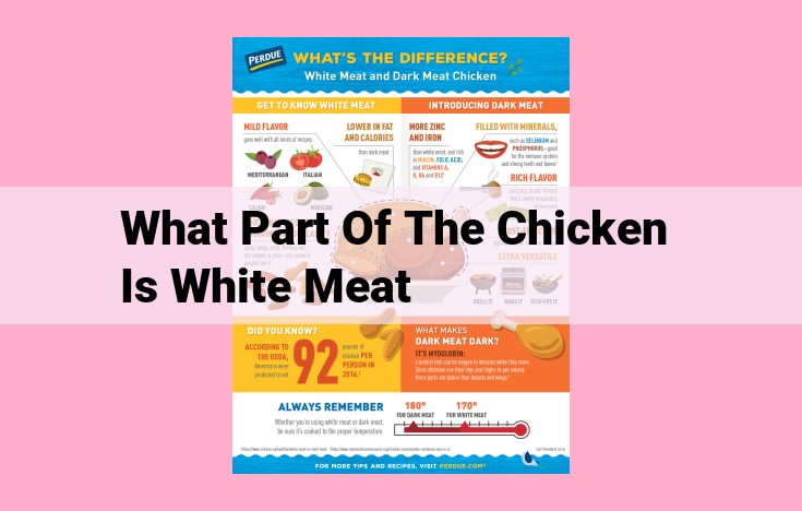 what part of the chicken is white meat