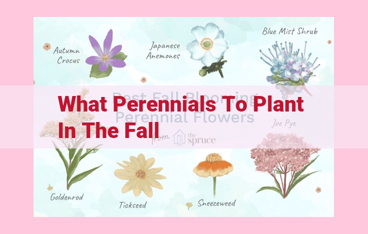 what perennials to plant in the fall