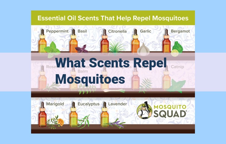 what scents repel mosquitoes