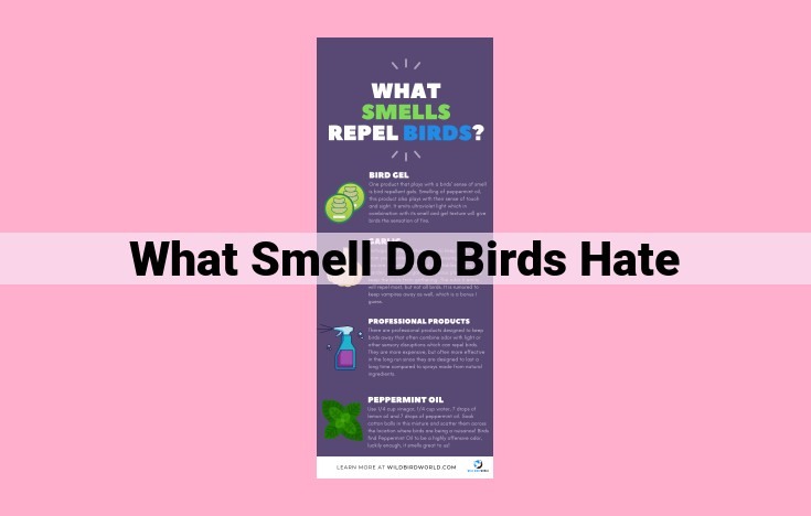 what smell do birds hate