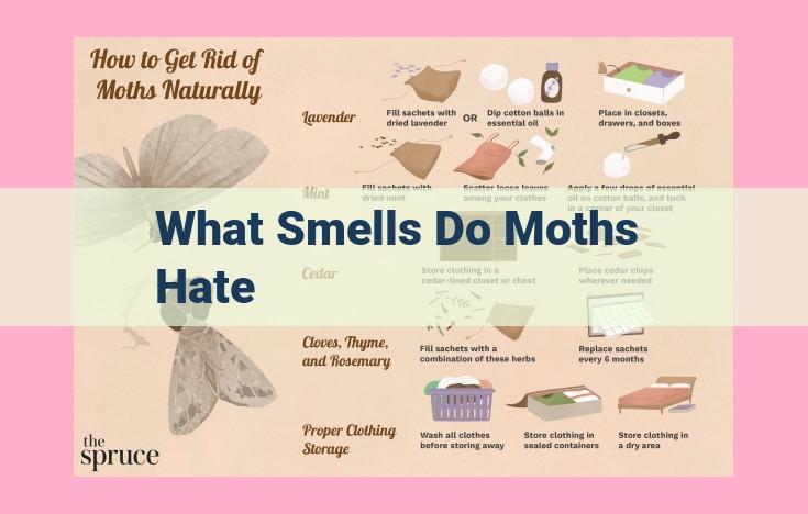 what smells do moths hate