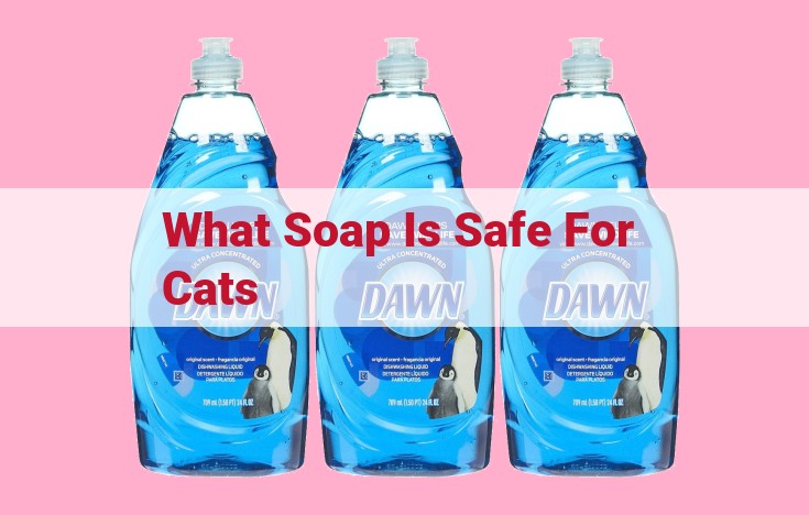 what soap is safe for cats