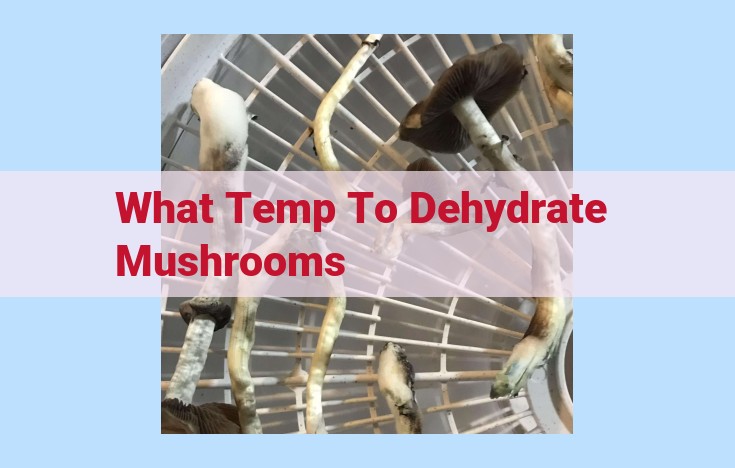 what temp to dehydrate mushrooms