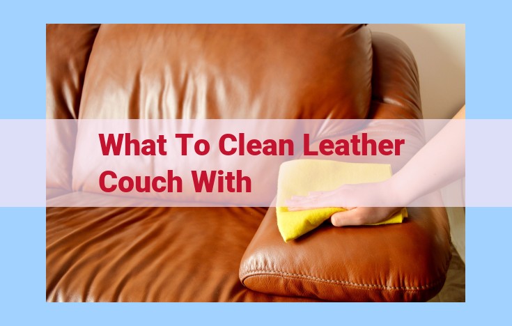 what to clean leather couch with