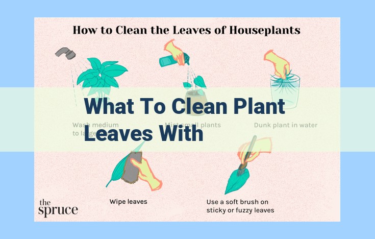 what to clean plant leaves with