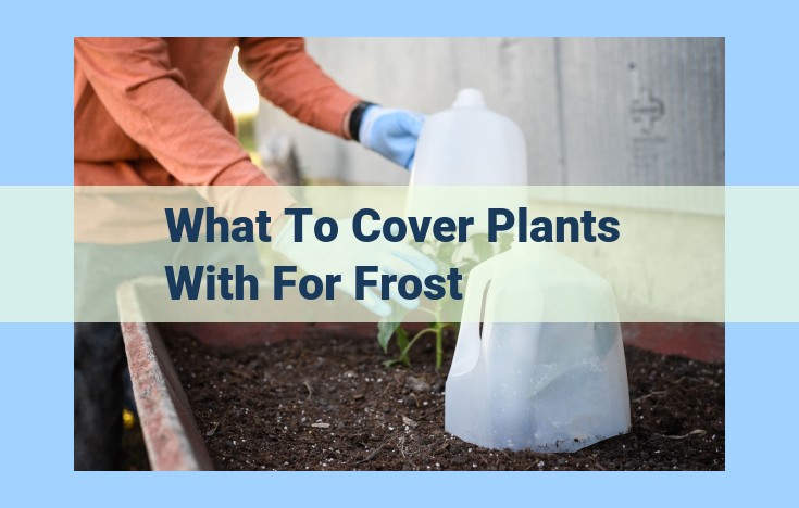 what to cover plants with for frost