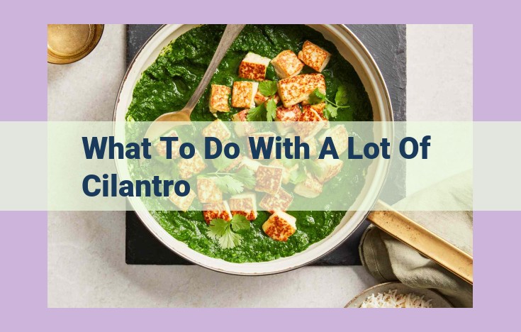 what to do with a lot of cilantro