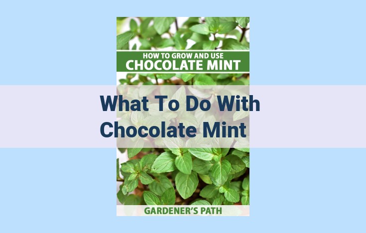 what to do with chocolate mint