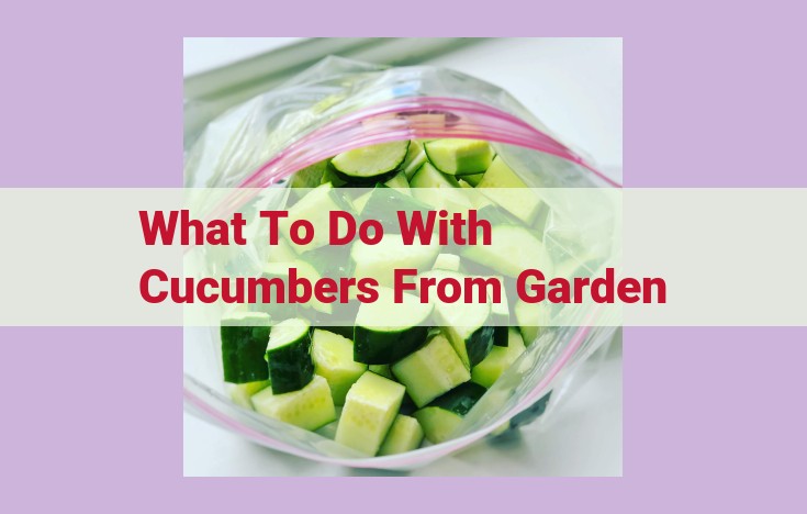 what to do with cucumbers from garden