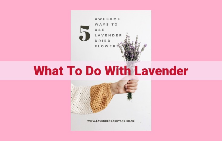 what to do with lavender