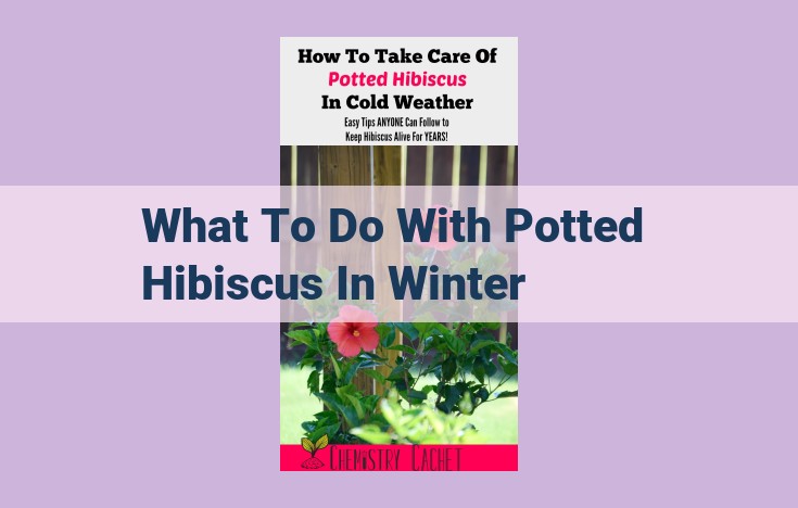 what to do with potted hibiscus in winter