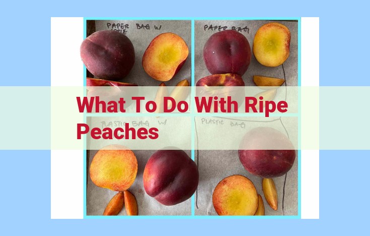 what to do with ripe peaches