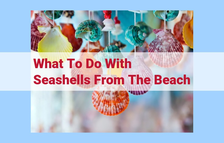 what to do with seashells from the beach