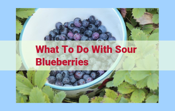 what to do with sour blueberries