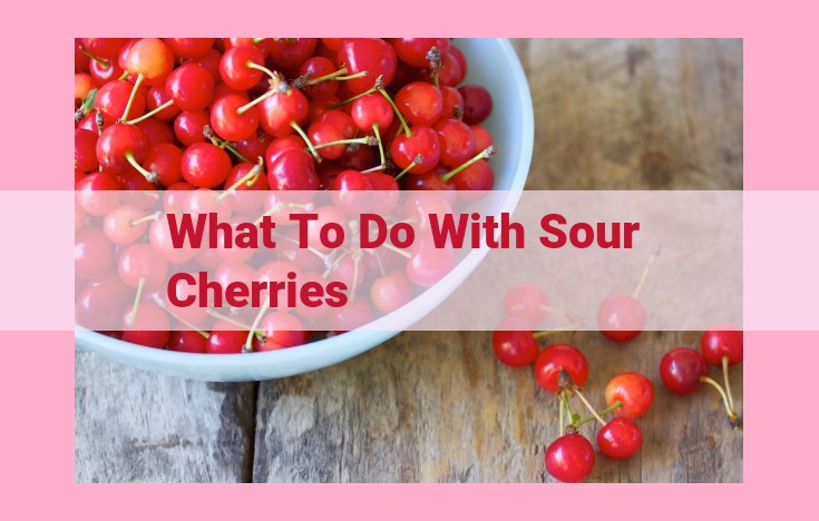 what to do with sour cherries