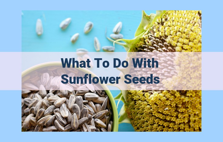 what to do with sunflower seeds