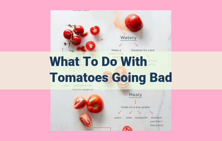 what to do with tomatoes going bad