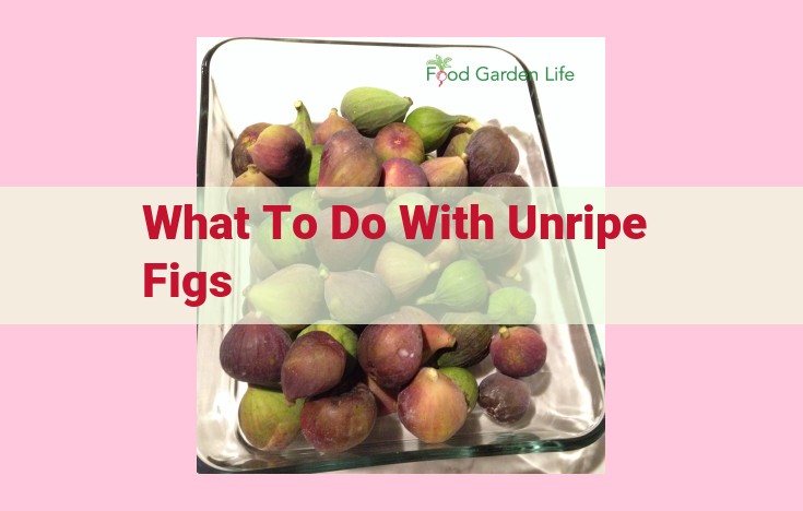 what to do with unripe figs